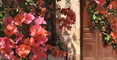 Courtyard Flowers